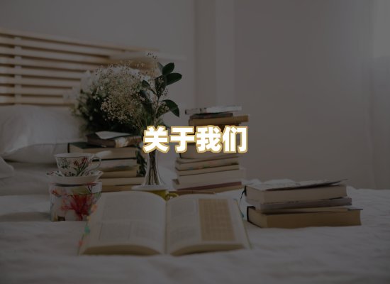 关于我们